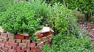 Ze starých cihel můžete na zahradě postavit nejrůznější zdi a zídky, omítnuté, přiznané, s pojivem nebo suché.