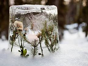 Led dokáže s vaší malou pomocí vyčarovat kouzlené lucerny na zahradu. 
