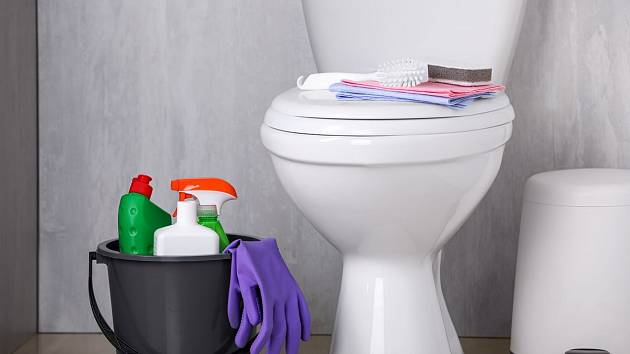 Které části toalety obsahují nejvíce bakterií a nečistot?