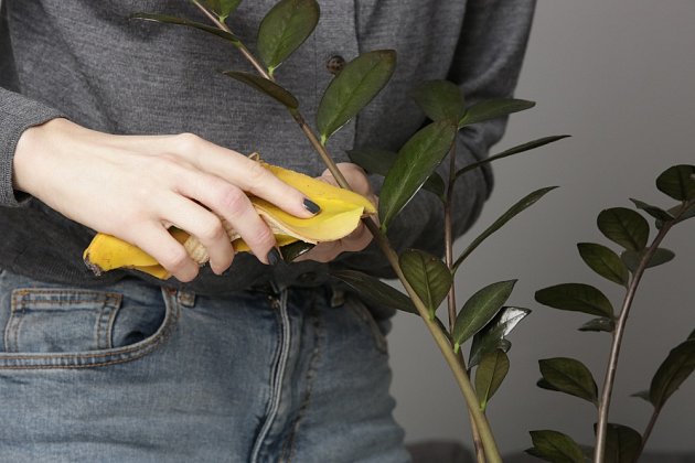 banán na kytky