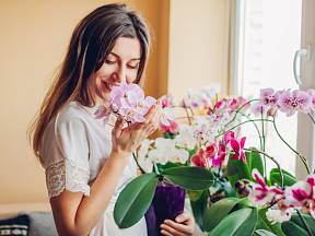 Žena s orchidejemi.