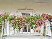 Květinové truhlíky promění balkón v kouzelné místo