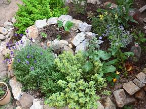 Z obyčejných kamenů vytvoříte nádherné místo pro pěstování bylinek.