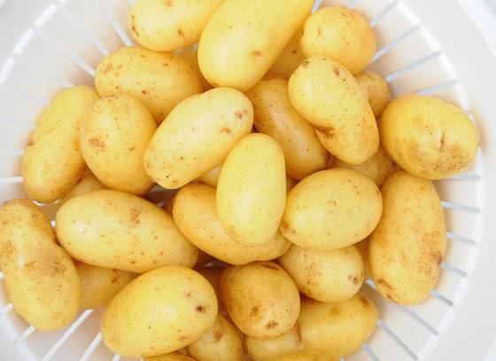 Malé nové brambory, zvané grenaille, milují hlavně Francouzi.