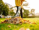 Víte, které práce na zahradě jsou na podzim potřeba?