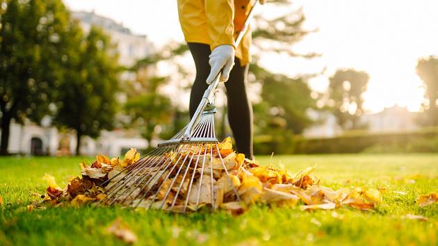 Víte, které práce na zahradě jsou na podzim potřeba?