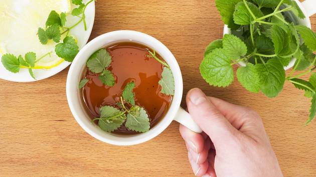 Čaj z meduňky je chutný i voňavý a můžete ho pít denně.