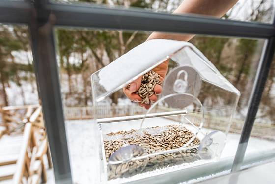 Speciální krmítko můžeme připevnit i k okennímu sklu. I zde budou ptáci v bezpečí.