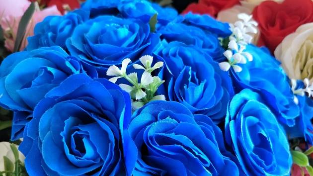 Modré růže jsou originální