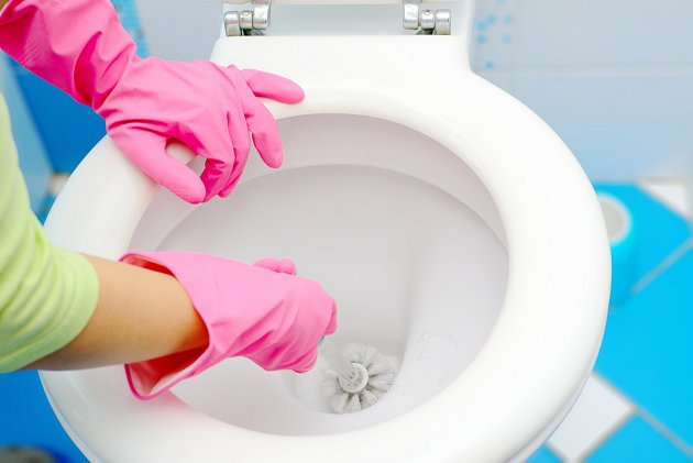 Známou realitou je, že toaleta je jedním z míst, kde se nachází velké množství nebezpečných bakterií.