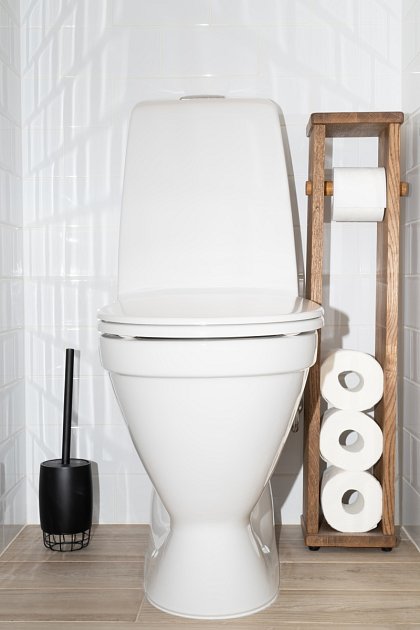 Nejpalčivějším problémem toalety je nedostatek papíru.