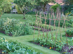 Zeleninové záhonky se vejdou i na tu nejmenší zahradu.