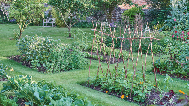 Zeleninové záhonky se vejdou i na tu nejmenší zahradu.