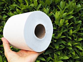 Jak vám pomůže toaletní papír s výsevem semen? 