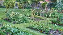 Zeleninová zahrada může být nejen užitečná, ale i pohledná