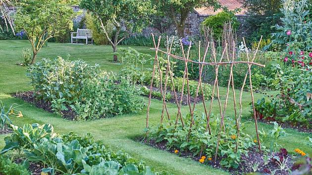 Zeleninová zahrada může být nejen užitečná, ale i pohledná