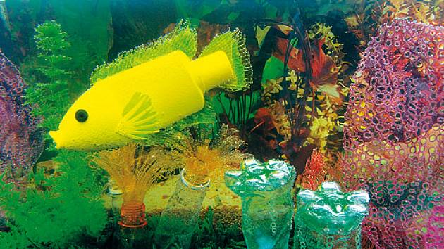 Cichlidka v akváriu – inspirací byla v kontejneru nalezená žlutá lahvička od krmiva pro rybičky