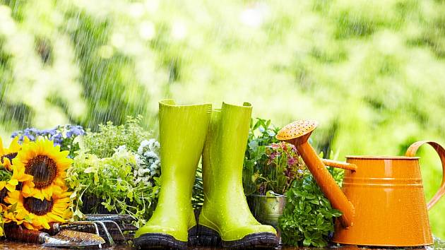 Jak si poradit s přílišným mokrem na zahradě?