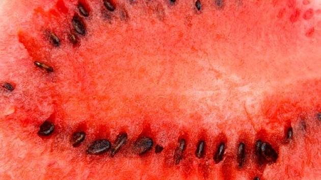 Nejzdravější část melounu jsou právě semínka!
