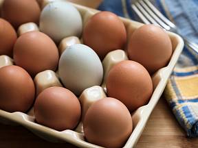 Proč jsou vajíčka tak drahá?