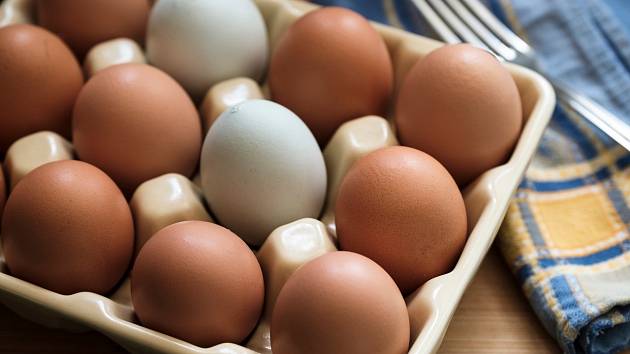 Proč jsou vajíčka tak drahá?