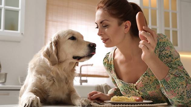 Když budete vašeho psa krmit od stolu, vyvolá to u něj pocit, že má v domácnosti stejné postavení jako člověk.