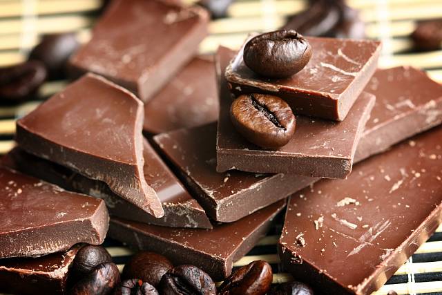 Čokoláda je pro psy toxická, ve větším množství je může zabít.