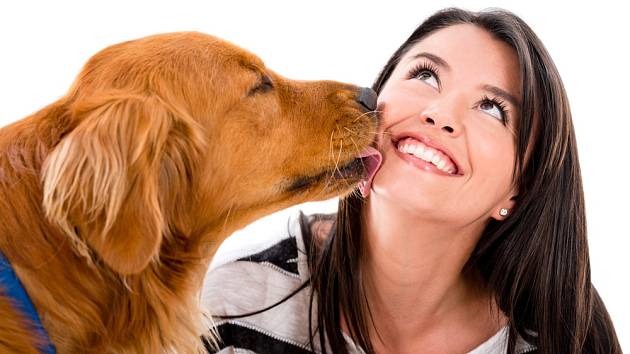 Co říká pes tím, když vás olizuje?