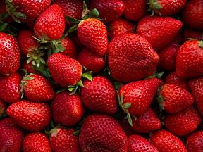 Slaďoučké jahody jsou nejen velmi chutným, ale zároveň i zdravým ovocem.