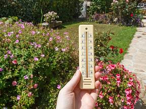 Jaké bude počasí v srpnu a na co na zahradě nesmíte zapomenout v srpnu?
