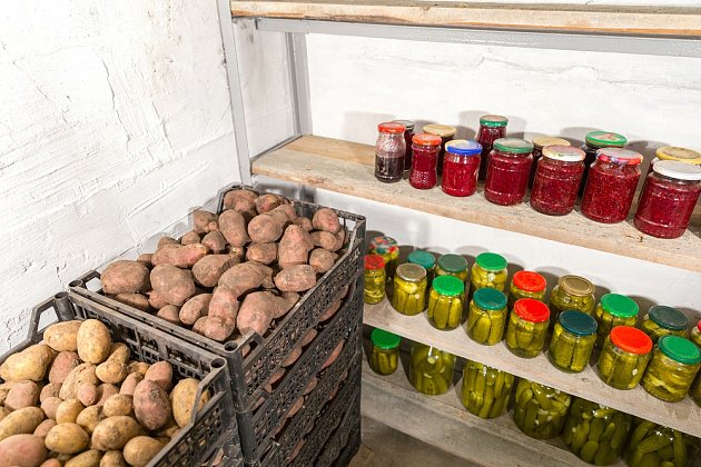 Po vydýchání je možné brambory uložit k dlouhodobému skladování ve sklepě, kde je teplota mezi 4 – 6 °C.