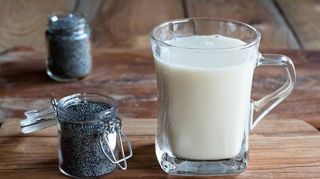 Recept na makové mléko je extrémně jednoduchý a zvládne ho opravdu úplně každý