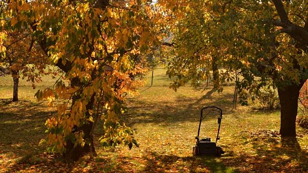 Podzimní úklid listí hráběmi si už nedokážeme představit.
