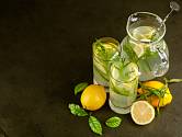 Estragonová limonáda je příjemným osvěžením v letních vedrech. 
