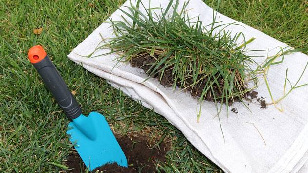 Tam, kde trávník prorůstá do záhonů, vyryjte drn a použijte jej na opravu holého místa.