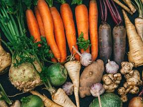 Jak uchovat zeleninu po celý rok?