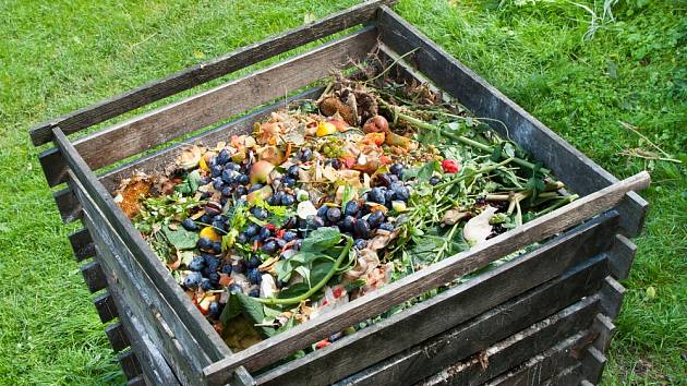 Kompost je zahradníkovo černé zlato