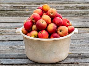 Jak zpracovat loňská jablka?