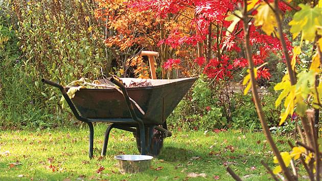 podzimní úklid zahrady
