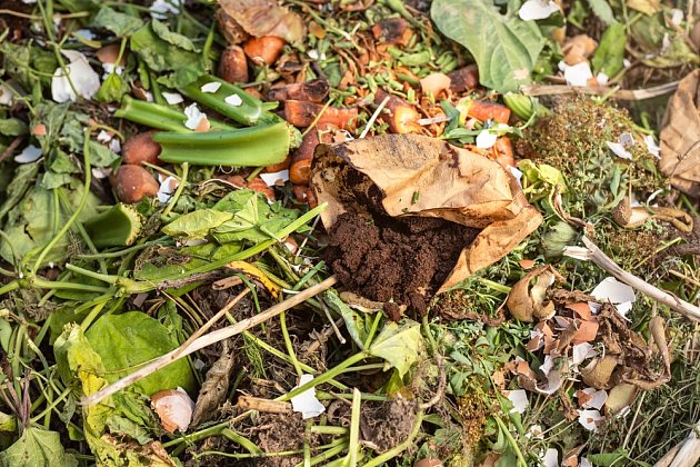 Kávovou sedlinu, lidově zvanou lógr, můžeme přidat do kompostu.