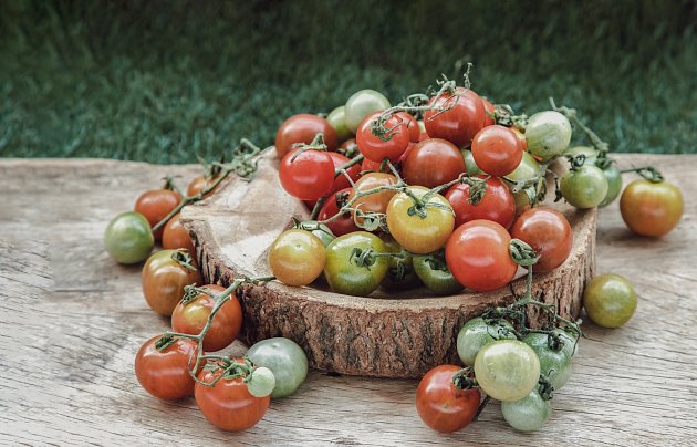 Divoká rajčátka obsahují hodně cukru, takže mají velmi výraznou, sladkou a typicky rajčatovou chuť.