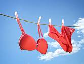 Spodní prádlo bychom měli prát i sušit podle informací na visačce