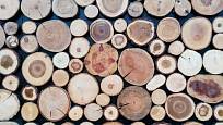 Dřevěné kolečka - zkrátka plátky dřeva lze využít při výrobě mnoha různých bytových dekorací.