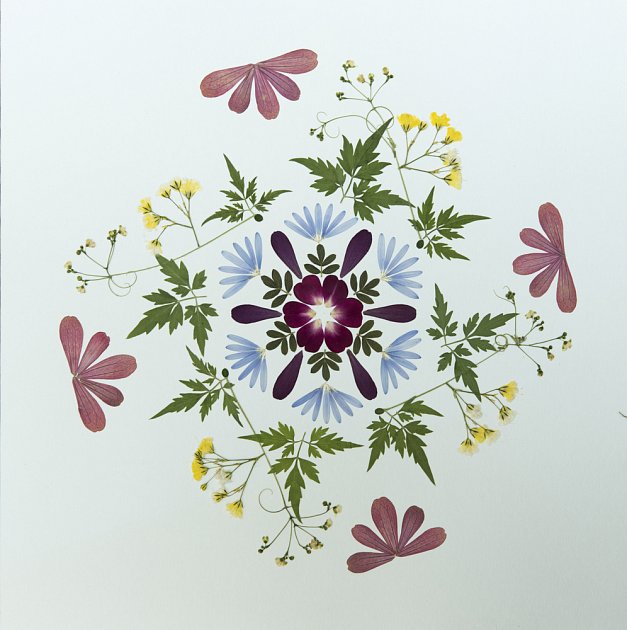 Obraz z vylisovaných květin