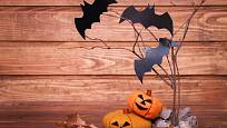 Dýně, netopýři a spadané listí patří na Halloween k sobě.