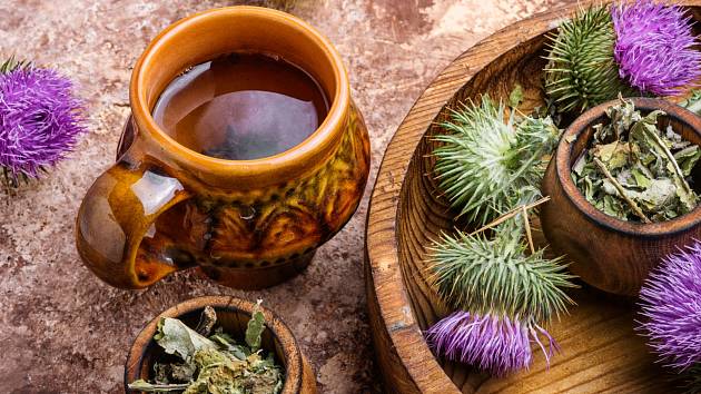 Čaj z ostropestřce mariánského je zázračný lék na jaterní obtíže.