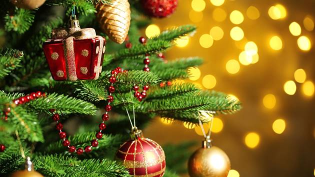Pojměte letošní Vánoce netradičně a vyrobte si vlastnoručně vánoční stromeček.