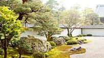 Kameny, štěrk, mech a dřeviny v dokonalé harmonii. To je Japonská zenová zahrada