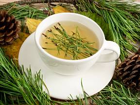 Čaj z jehličí borovice je podle vědců zdravotní zázrak.