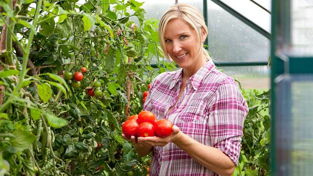 Velká úroda rajčat vás nemine, když je sesadíte s bazalkou, koprem, česnekem, cibulí, petrželí, měsíčkem lékařským nebo tymiánem.